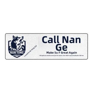 Reflective Car Stickers Window Film