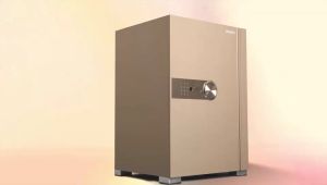 Philips Smart Safe Box 2000 Series SBX202