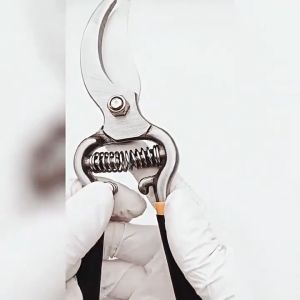 กรรไกรตัดกิ่ง กรรไกรตัดกิ่งไม้ กรรไกรแต่งกิ่ง กรรไกรตัดแต่งกิ่งไม้ กันไกรตัดกิ่ง กรรไกรทำบอนไซ 8 นิ้ว Pruning Shears Garden Scissors (จัดส่งจากประเทศไทย)