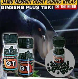 GINSENG TEKI PLUS isi 150 Pil Jamu Merpati cepat giring keras dan Keket dalam 2 hari saja