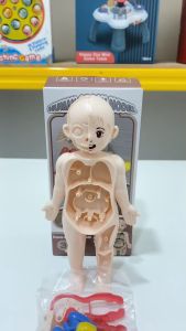 [KST] Mainan Edukasi Model Anatomi Tubuh Manusia Organ Dalam Susun Pinset Belajar Logika Anak