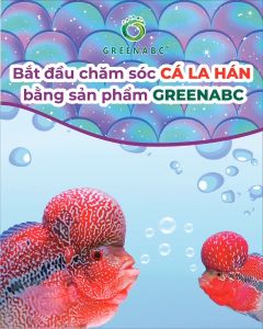 Cám cá la hán GREENABC - Đạm 40 kích châu bung đầu vảy sáng dáng đẹp - Hộp 350g