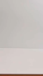 Stainless Steel Copper look Dish Serving Platter With Brass Handle in Home & Restaurant