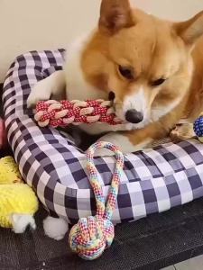 Cute Durable Cotton Rope Dog Chew Toy for Bichon Teddy