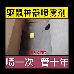 Effect lasts 100 days SH rat repellent penghalau tikus halau tikus rat repellent spray mouse repellent 500ml 驱鼠剂 驱鼠喷雾剂 现货