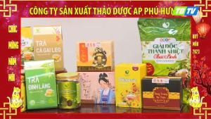 Trà Phú Hưng Giải Độc Thanh Nhiệt Thái Bình 1Kg bcalivinghcm Thảo quyết minh hoa hòe cam thảo sâm dứa dùng tốt ( gói lẻ )