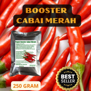 Pupuk organik booster perangsang pelebat Cabai Merah merah 250GR cepat berbuah tidak mudah rontok