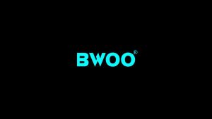 BWOO X278 65W RGB Light Fast Charging Type-C to Type-C USB Cable for Mobile Phones