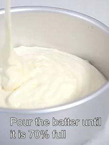 HomeAce 4/6/8/10 inch Anode Baking Pan Removable Bottom Nonstick Aluminum Alloy Bento Cake Pan Mold