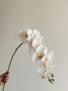 CHIGUASHAONV | Biomimetic Phalaenopsis Orchid Artificial Flower Luxury Home Decor