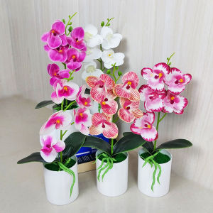 Azgalery PBP73 / Tanaman Hias Pot Bunga Anggrek Gradient Artificial Plastik Ornamen Hiasan Dekorasi Ruangan Rumah Cantik Buatan Sepaket / COD