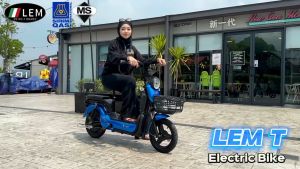 LEM Electric Bicycle/electric bike model lem t