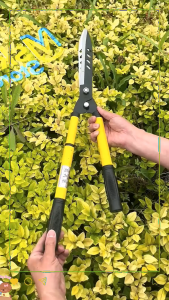 🚚(จัดส่งในกรุงเทพฯ)กรรไกรตัดหญ้า กรรไกรตัดหญ้ายืดได้ กรรไกรตัดแต่งพุ่มไม้ กรรไกรตัดแต่งกิ่ง กรรไกรตัดกิ่งด้ามยาว กรรไกรทำสวน กรรไกรแต่งสวน กรรไกรตัดกิ่ง กรตัดแต่งกิ่งกรรไ กรรไกรตัดผลไม้ด้ามปรับยาวได้ คมมาก ฟันซิก ใช้งานได้นาน