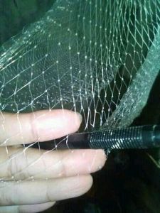 jala udang tinggal pake lobang 3/4 senar 0.20 panjang .3m