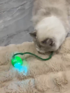 Mainan Anjing Kucing Bola Otmatis Bergulir Jalan Pet Interaksi Cerdas Smart Rotating Rechargeable Binatang Hewan Anabul Peliharaan