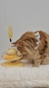 Interactive Cat Toy with Feather Teaser & Rolling Ball Track | Spring Teaser Cat Toy | Pet Exercise Toy