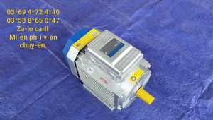 Động cơ điện 1 pha chính hãng Toàn Phát 15kw cốt 24mm