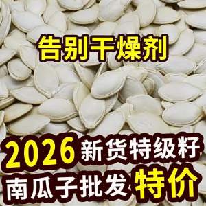 No Additives Fresh Large Pumpkin Seeds