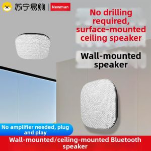 Newman Wireless Bluetooth Ceiling Speaker No Drilling Required Wall Mount Shop 3D Surround Sound Box Plastic Body Simple Style
