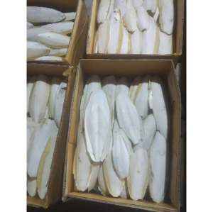 Tulang sotong/asinan burung/makanan burung berat 1kg