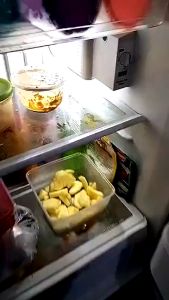 LAMPU LED KULKAS 3 WATT L1006 LAMPU BOHLAM LED UNTUK KULKAS