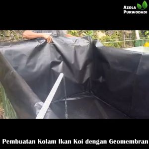 Plastik HDPE Geomembran 300 micron lebar 6 meter untuk kolam ikan / tambak