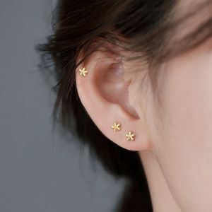 Bông tai titan nữ mặt hoa 5 cánh màu vàng dễ thương không gỉ