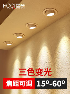 Đèn Tròn LED Điều Chỉnh Màu Sắc Có Thể Điều Chỉnh Góc Chiếu Tròn Cho Phòng Khách Tường Nền Nhà Đèn Tập Trung