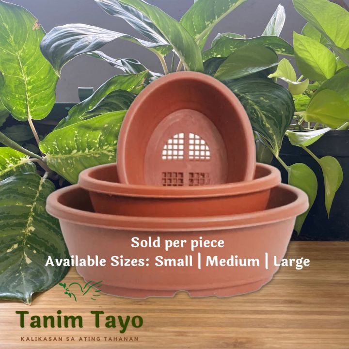 Tanim Tayo Bonsai Pot Wide Edge Plastic Oval Training Pots Terracota ...