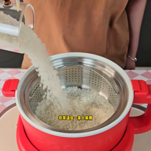 WOKR Multifunctional Low-Sugar Rice Cooker 3L Rice Draining Rice Rice Soup Separation Household Small Split Type Removable Washable Rice Cooker Gift