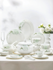 TAOYI | New Household Elegant Bone China Dinner Set
