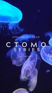 Sandal Slide Slip On Casual Flip Flop Original Ctomo Grey LAF