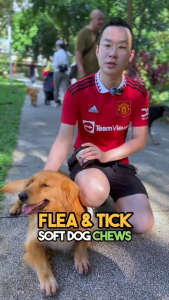 Peppy Paws Flea & Tick Dog 120 Soft Chews  -  | Natural Repellent | Improves Immunity | FDA Registered | Non GMO | All Natural | 100% Original