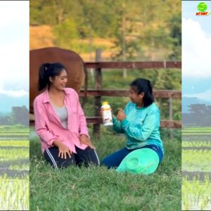 เสริมสร้างภูมิคุ้มกัน สัตว์แข็งแรง สุขภาพดี อาหารเสริมและวิตามินสำหรับสัตว์ ฟาสท์ริช168 ไคโตซานฟาสท์พลัส1ขวด+ไคโตซานฟาสท์2ขวด สินค้าพร้อมจัดส่ง