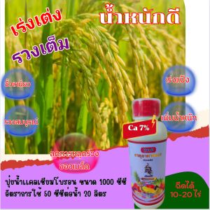 ปุ๋ยน้ำเร่งเต่ง เร่งเเป้ง น้ำหนักดี ขั้วเหนียว