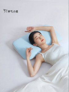Neck Support Memory Foam Pillow Core
