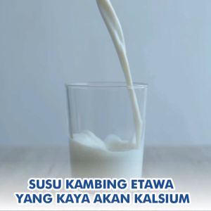 Susu Etawalin Paket 3 Box Ori Original - Susu Etawa Bubuk Atasi Nyeri Pinggang Tulang Sendi Lutut Rematik Asam Urat Aman Alami Halal BPOM Isi 200 gr