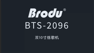 Bts.Shop BTS-2096 Dual 10 inch LED light SPEAKER Wireless Power Subwoofer Outdoor Bluetooth Speaker