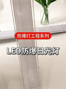 WANLIYANG | Đèn Huỳnh Quang Chống Nổ Chống Nước Chống Bụi 1.2m