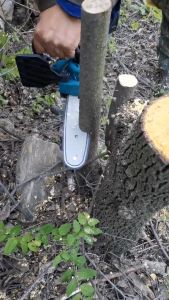 🔥 Free 6 tools Send tool box🔥Mekitor 6 inch Chainsaw cordless chain saw chainsaw heavy duty tree cutter machine tree cutter machine cordless chainsaw battery chain saw cordless Battery Electric Pruning Saw Rechargeable Lithium Battery Electric Saw 电锯