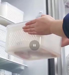 WORLD DREAM Kontainer Makanan Kulkas Kitchen Storage Food Kotak Penyimpanan Makanan dengan Saringan