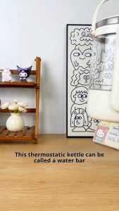 Kawu 2.5L Multifunction Electric Kettle Baby Lock & Chlorine Removal 800W Instant Heating Keep Warm Safe and Healthy