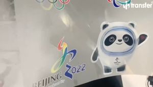 Máy Ép Nhiệt iTrasfer®️ Cao Cấp In Áo Phông  Dập Nóng - EuroHome