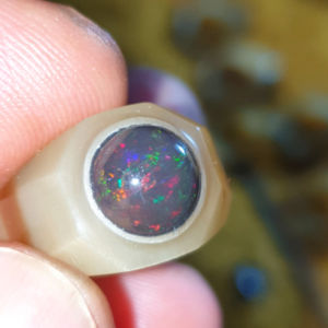 kalimaya black opal tranlucet asli banten jarong jozz tanduk bule