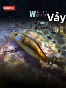 Mồi Cá Chép Sinking Đầy Đủ Lớp Có rung