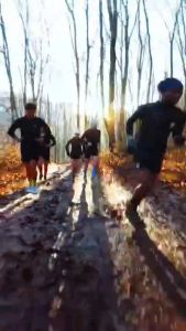 Compressport เสื้อเทรนนิ่งแขนสั้น ผู้หญิง LOGO SS TSHIRT รุ่นโลโก้ ใหม่ล่าสุด 2023