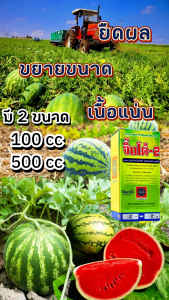 จิ๊บโต้-2 ขนาด 500cc กรดจิบเบอร์เรลลิค แอซิด 2% ยายืดช่อดอก ยืดรวงข้าว ยืดต้นกล้า