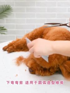Pet Grooming Scissors Kit 5 Pcs Curved Dog Cat Grooming Scissors Pet Hair Cutting Barber Tools Set