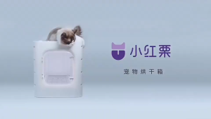 Automatic Pet Drying Box+2000W Smart Blower Hair Dryers Machine Pengering Bulu Kucing Rambut Grooming Portable Cabin for Cats