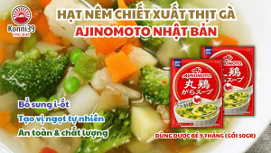 HẠT NÊM CHIẾT XUẤT THỊT GÀ AJINOMOTO NHẬT BẢN (GÓI 50GR)